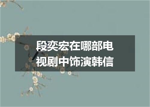 段奕宏在哪部电视剧中饰演韩信