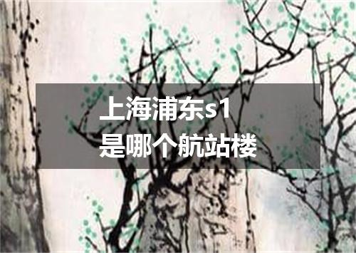 上海浦东s1是哪个航站楼