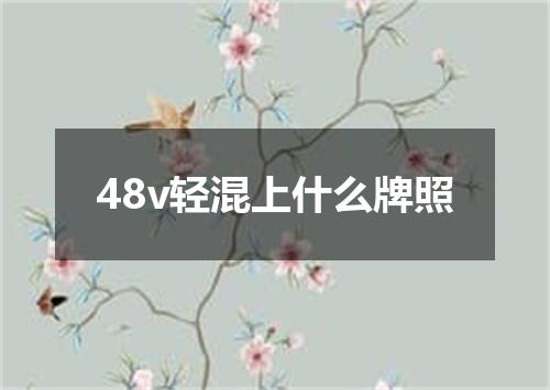 48v轻混上什么牌照