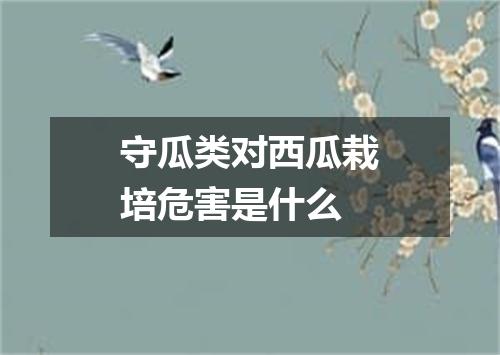 守瓜类对西瓜栽培危害是什么