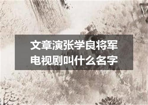 文章演张学良将军电视剧叫什么名字