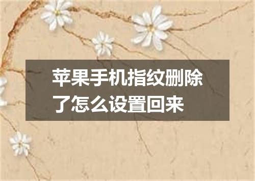 苹果手机指纹删除了怎么设置回来