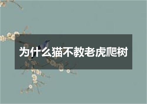 为什么猫不教老虎爬树