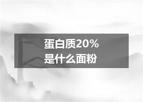 蛋白质20％是什么面粉