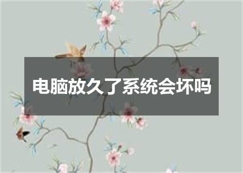 电脑放久了系统会坏吗