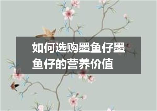 如何选购墨鱼仔墨鱼仔的营养价值