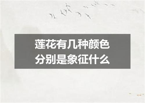 莲花有几种颜色分别是象征什么