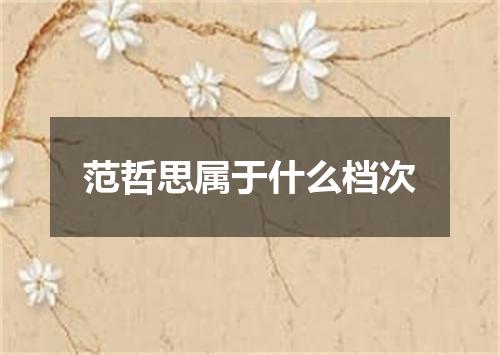 范哲思属于什么档次