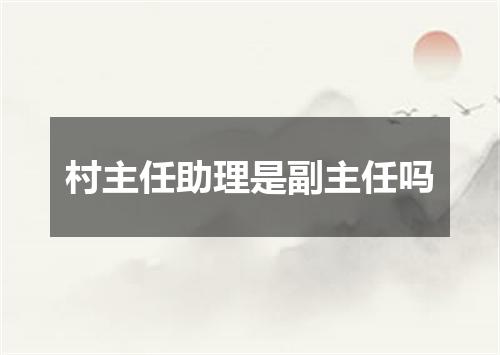 村主任助理是副主任吗