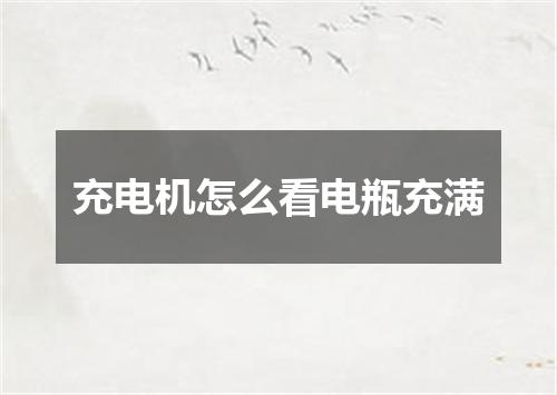 充电机怎么看电瓶充满