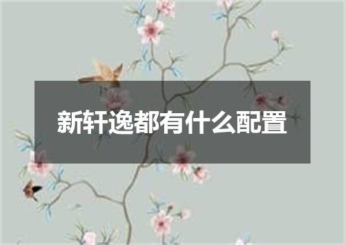 新轩逸都有什么配置