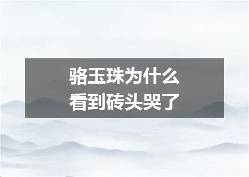 骆玉珠为什么看到砖头哭了