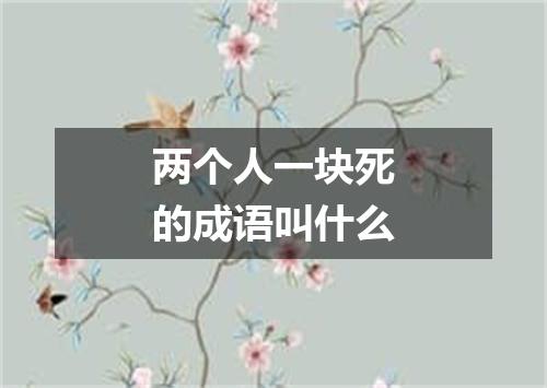 两个人一块死的成语叫什么