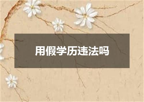 用假学历违法吗