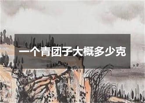 一个青团子大概多少克