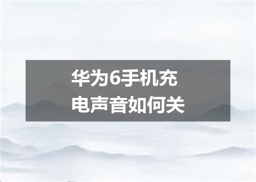 华为6手机充电声音如何关
