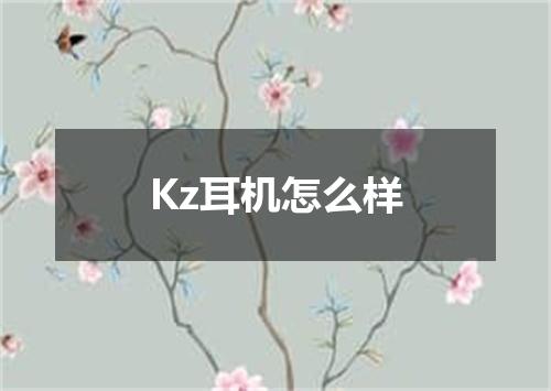 Kz耳机怎么样