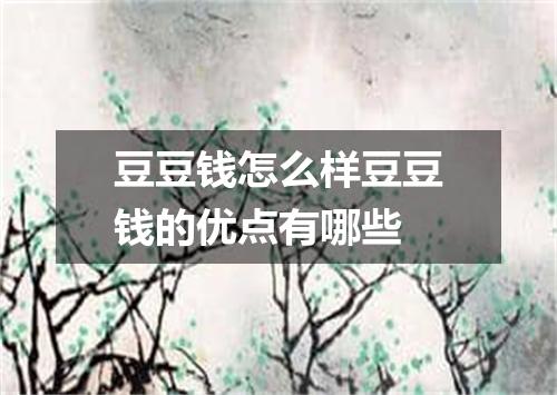 豆豆钱怎么样豆豆钱的优点有哪些