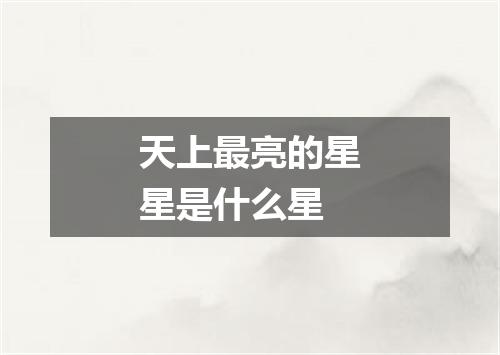 天上最亮的星星是什么星