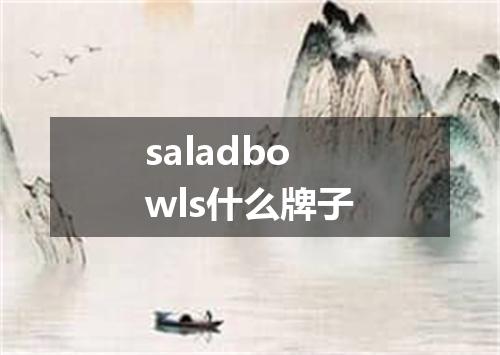 saladbowls什么牌子