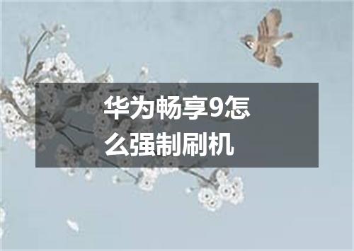 华为畅享9怎么强制刷机