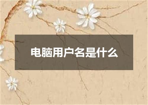 电脑用户名是什么