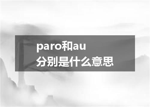 paro和au分别是什么意思