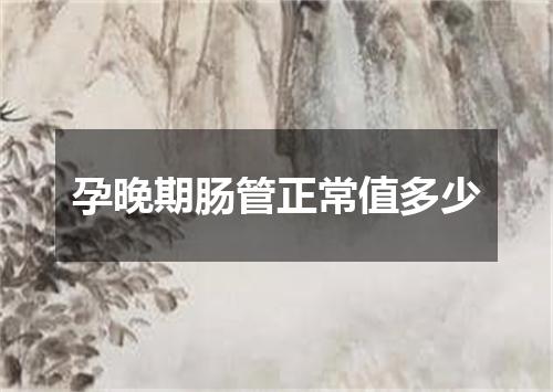 孕晚期肠管正常值多少