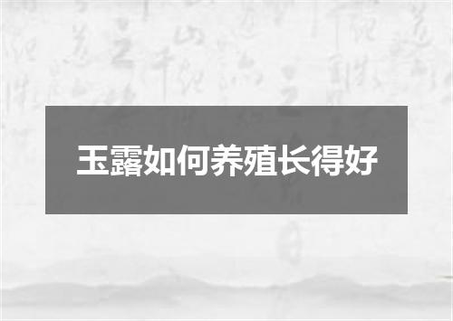 玉露如何养殖长得好