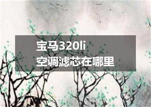宝马320li空调滤芯在哪里