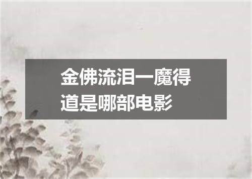 金佛流泪一魔得道是哪部电影
