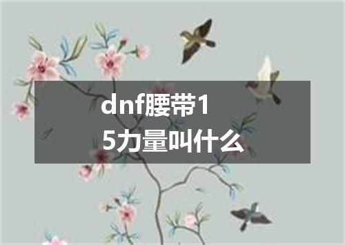 dnf腰带15力量叫什么