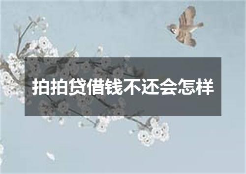 拍拍贷借钱不还会怎样