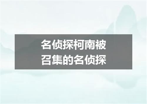 名侦探柯南被召集的名侦探
