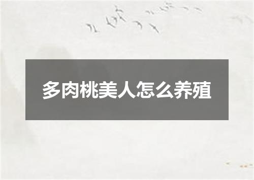 多肉桃美人怎么养殖