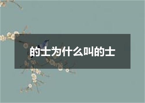 的士为什么叫的士