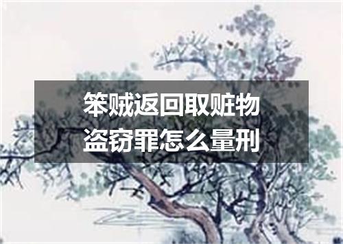 笨贼返回取赃物盗窃罪怎么量刑