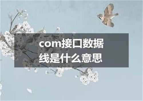 com接口数据线是什么意思