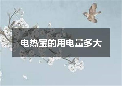 电热宝的用电量多大