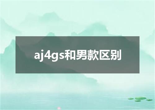aj4gs和男款区别