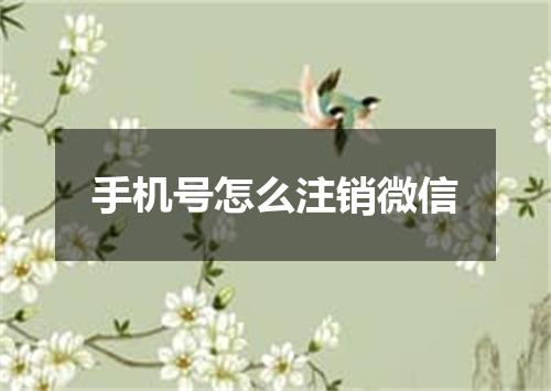 手机号怎么注销微信