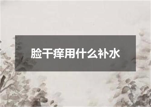 脸干痒用什么补水