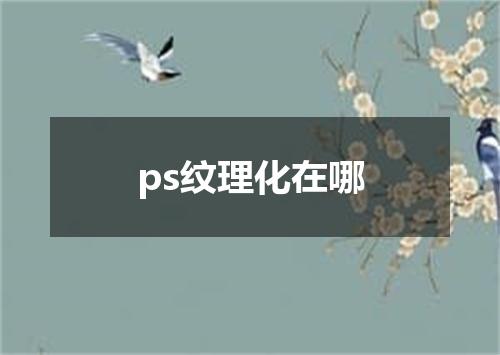 ps纹理化在哪