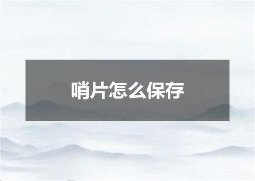 哨片怎么保存