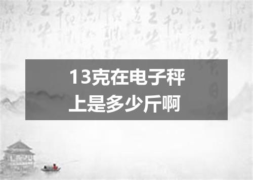 13克在电子秤上是多少斤啊