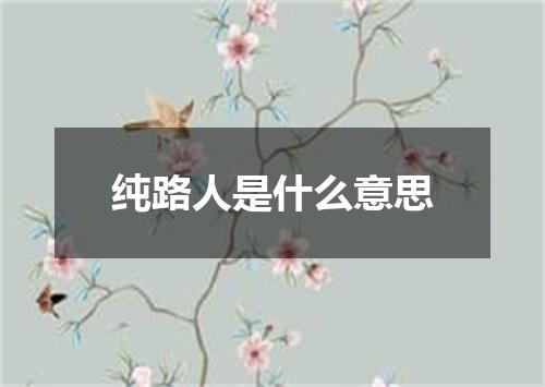 纯路人是什么意思
