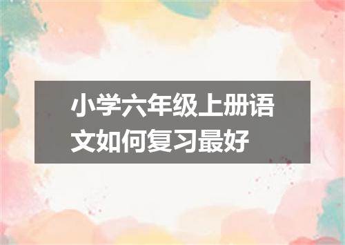小学六年级上册语文如何复习最好