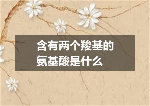 含有两个羧基的氨基酸是什么