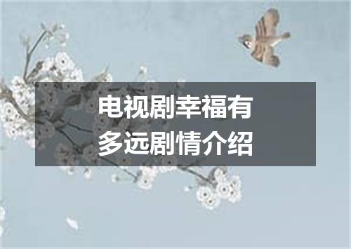 电视剧幸福有多远剧情介绍