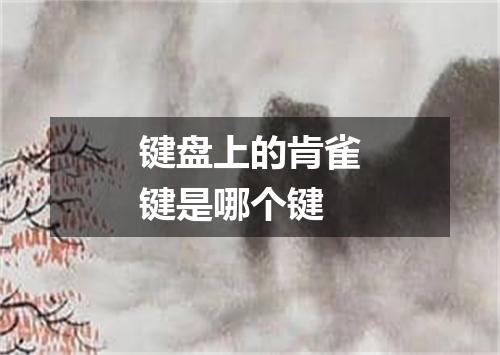 键盘上的肯雀键是哪个键